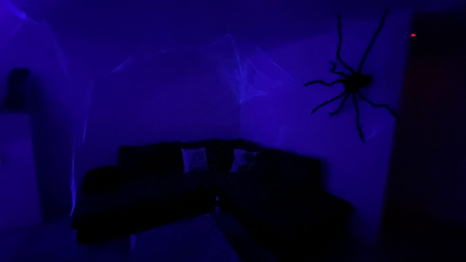 Erinnerung an die Halloween-Party