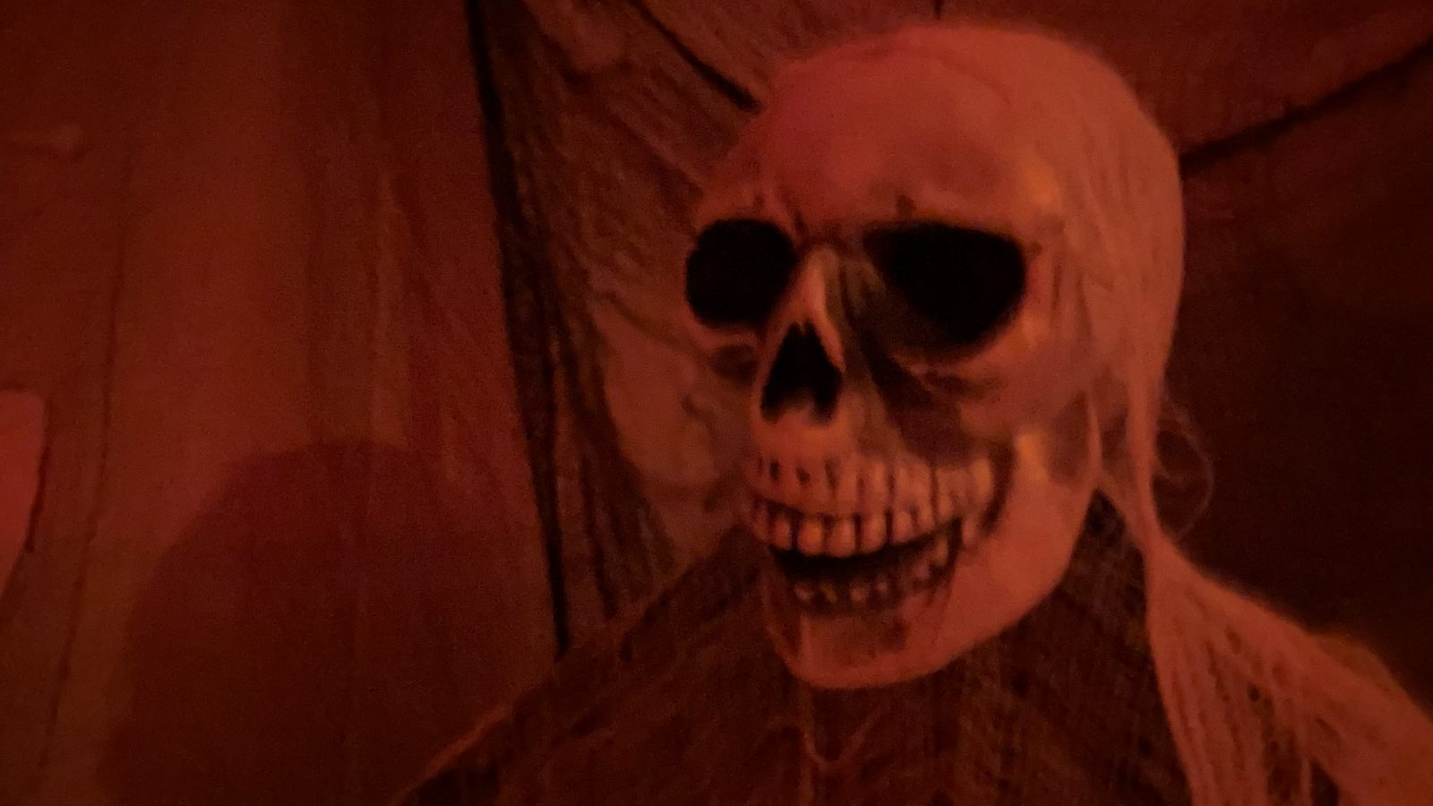 Erinnerung an die Halloween-Party