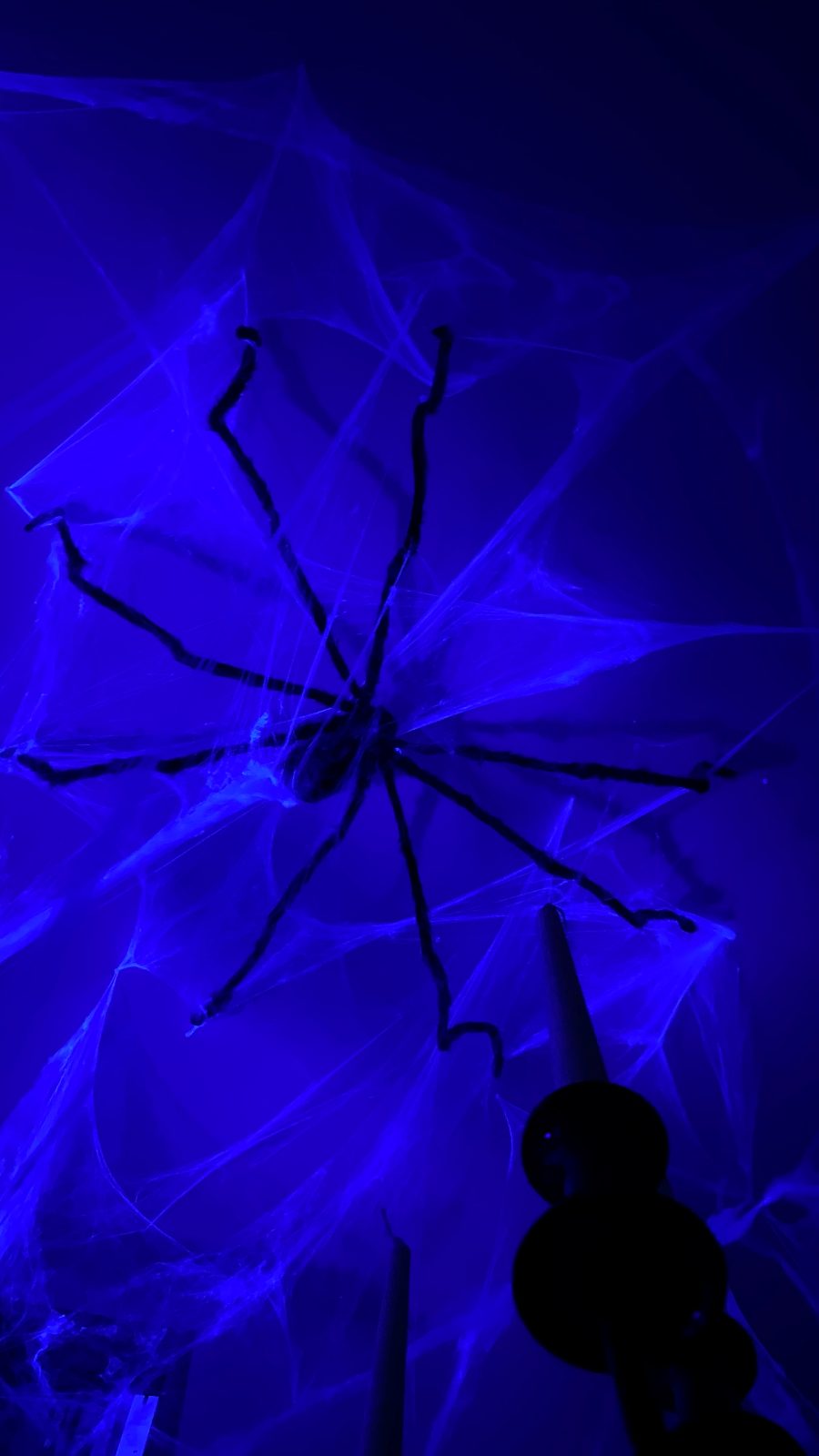 Erinnerung an die Halloween-Party
