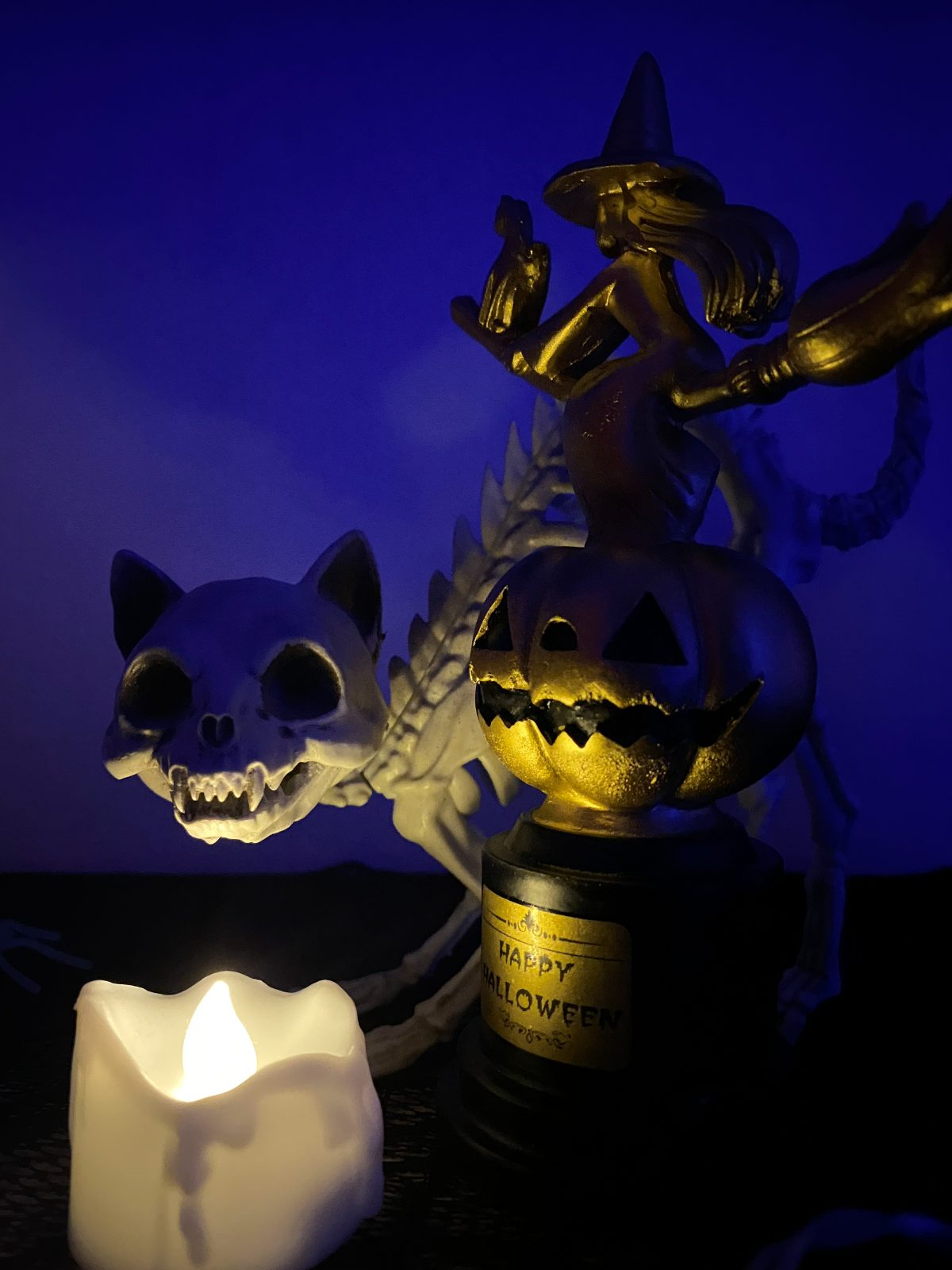 Erinnerung an die Halloween-Party
