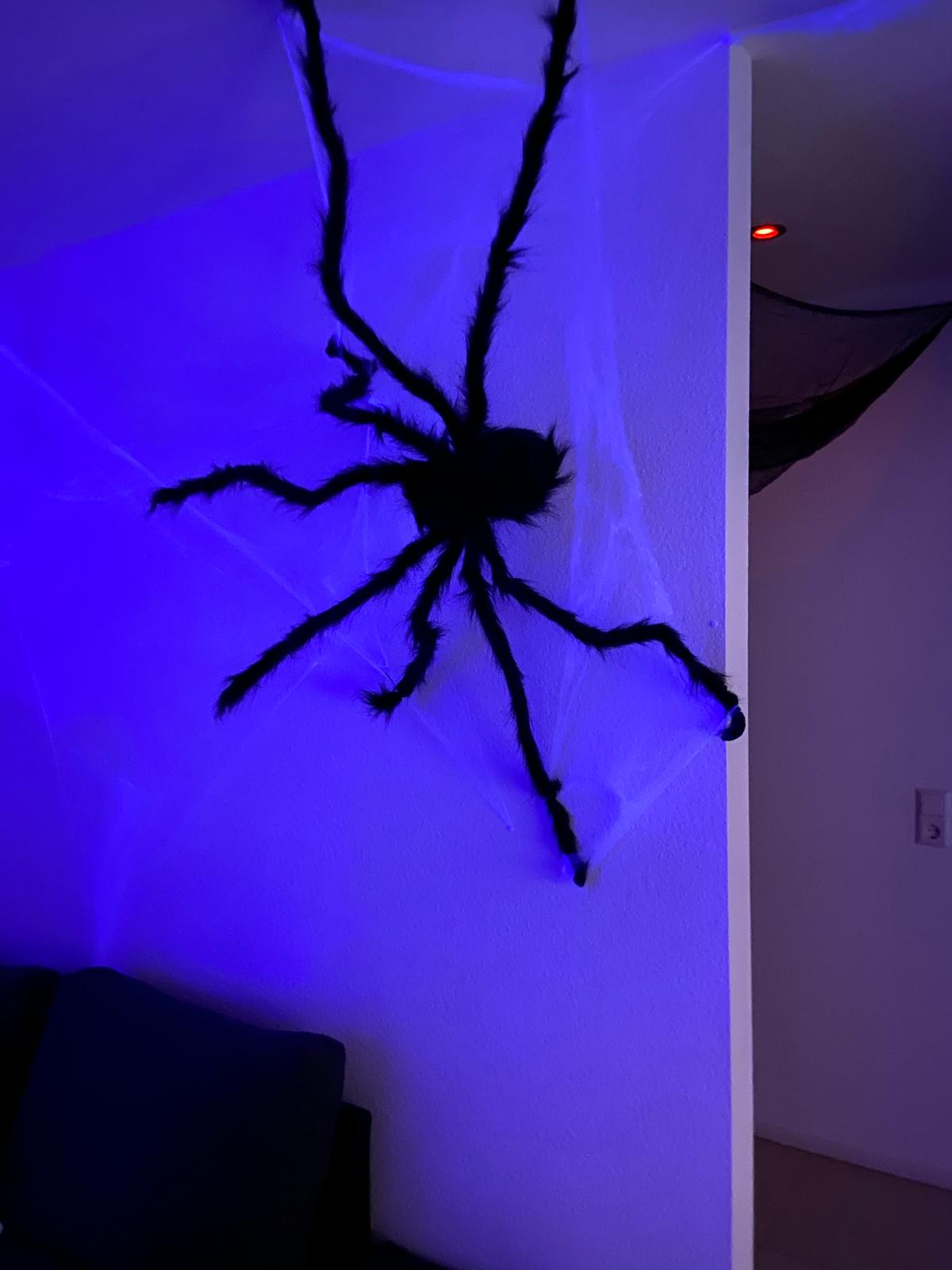 Erinnerung an die Halloween-Party